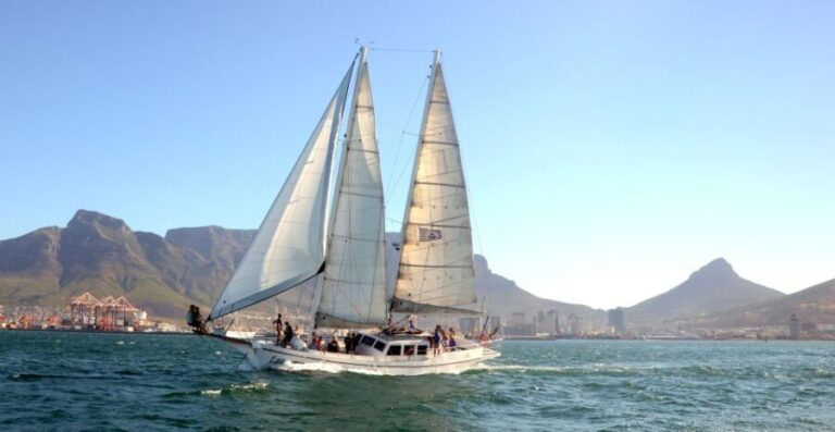 Cape Town: 1-Hour Pre-Sunset Champagne Cruise - Authentic Tips Based on Reviews