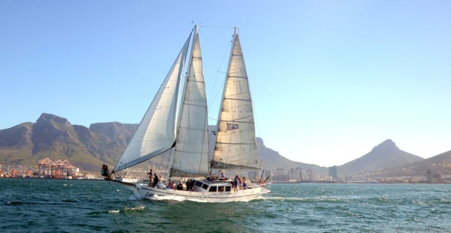 Cape Town: 1-Hour Pre-Sunset Champagne Cruise - Authentic Tips Based on Reviews