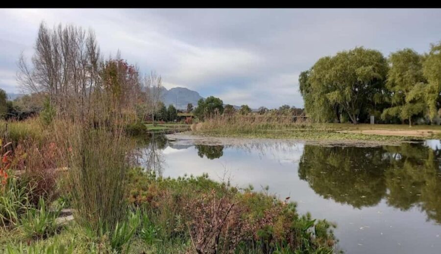 Cape Town: 15 Wine Tasting & Wildlife Small Group Tour - Practical Tips