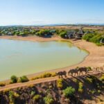 Cape Town: 2-Day Wildlife Tour with Safaris and Luxury Stay - What’s Included and What’s Not