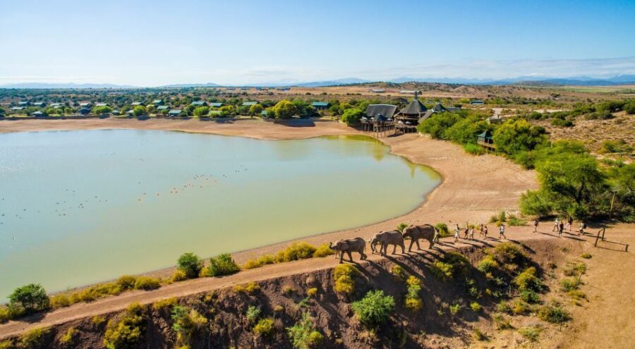 Cape Town: 2-Day Wildlife Tour with Safaris and Luxury Stay - What’s Included and What’s Not