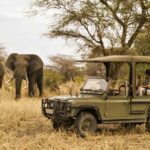 Cape Town: 3-Day Garden Route Small Group Tour - Key Points