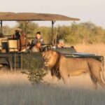 Cape Town: 3-Day Garden Route Tour with Accommodation - The Itinerary Breakdown