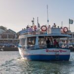 Cape Town: 30 Minute Harbour Boat Cruise with Seal Watching - Practical Details and Tips