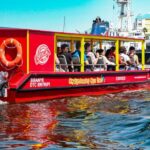 Cape Town: 30 Minute Seal-Watching Harbour Cruise - Introduction