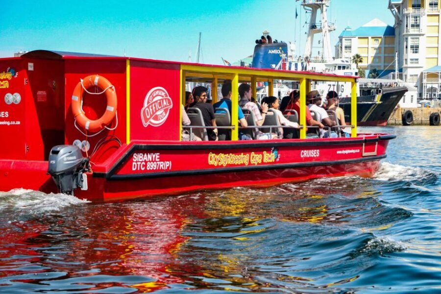 Cape Town: 30 Minute Seal-Watching Harbour Cruise - Introduction