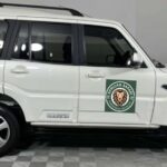 Cape Town: 4-Day Garden Route Pvt Tour with Accommodation - Whats Included & Whats Not