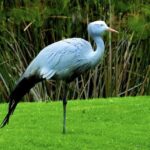 Cape Town: 4-Day Garden Route Small Group Tour - FAQ
