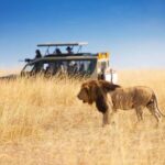 Cape Town: 5-Day Garden Route Tour with Accommodation - Final Thoughts: Who Is This Tour Best For?