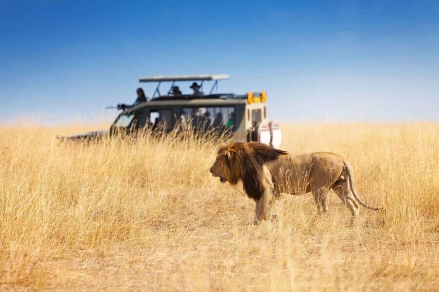 Cape Town: 5-Day Garden Route Tour with Accommodation - Final Thoughts: Who Is This Tour Best For?