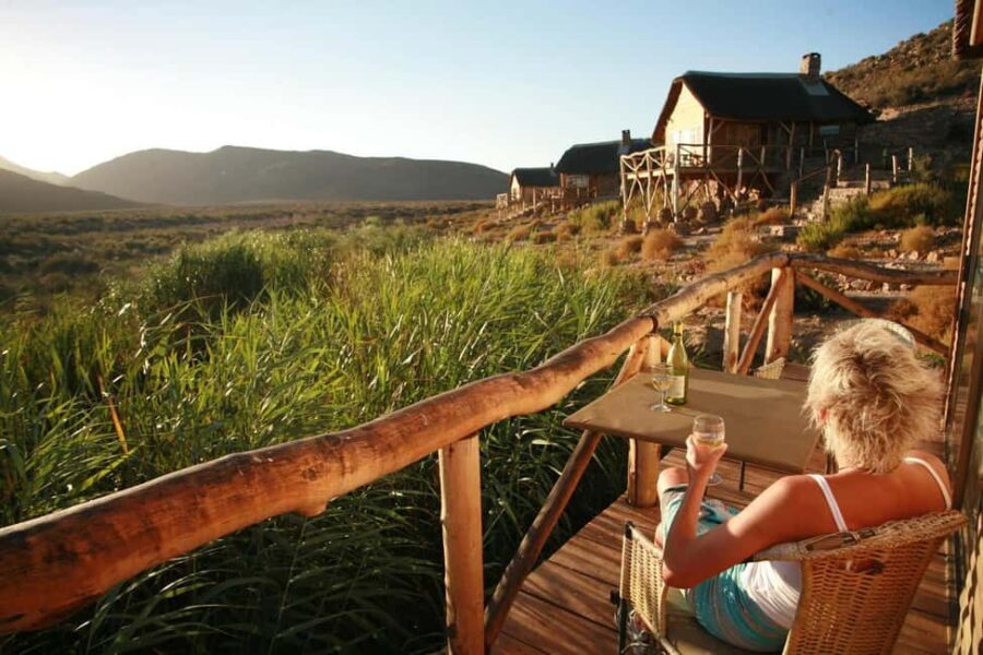 Cape Town: Aquila Big Five Safari with Transfers - What Travelers Say