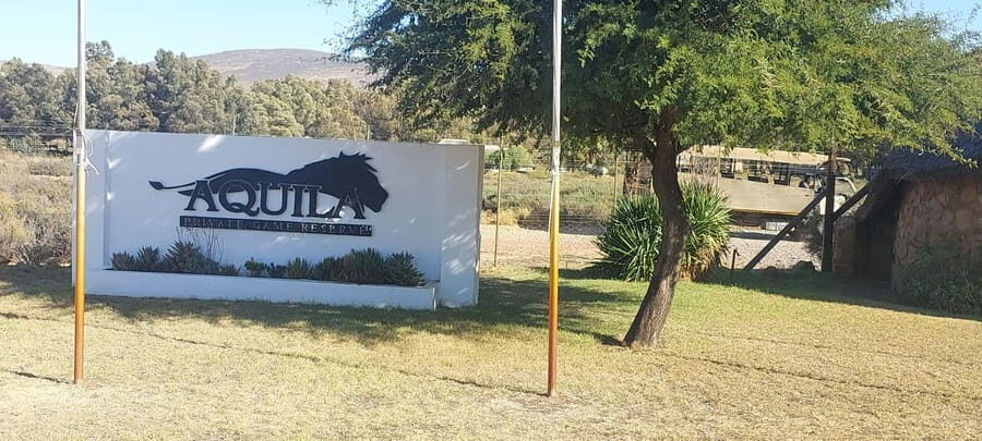 Cape Town - Aquila Safari - In-Depth Look at the Itinerary