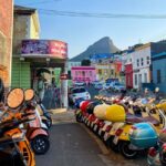 Cape Town: Art, Culture & History Walking Tour - What to Expect on the Tour
