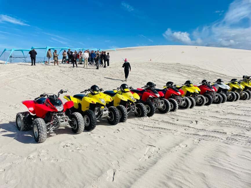 Cape Town: Atlantis Dunes Quad Bike & Free Sandboarding Tour - Diving Into the Experience