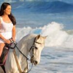 Cape Town: Beach Horse Ride with Hotel Pickup & Drop-off - The Value of This Experience
