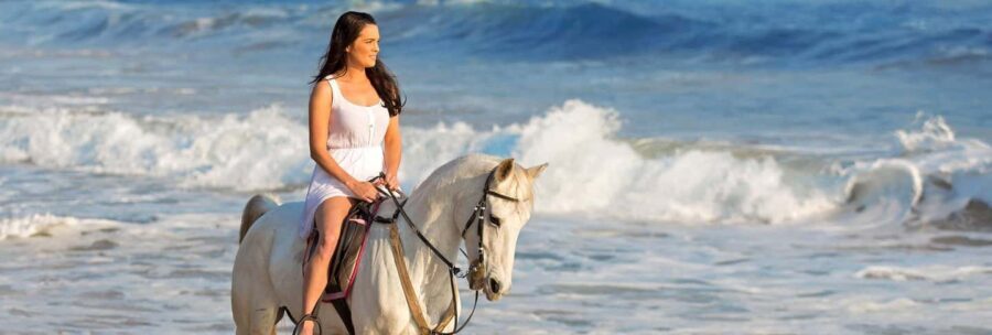 Cape Town: Beach Horse Ride with Hotel Pickup & Drop-off - The Value of This Experience