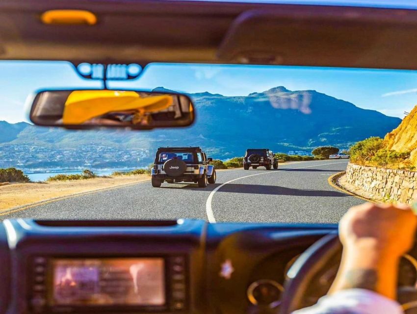 Cape Town: Big 5 Game Reserve Drive with Lunch - The Value and Who It’s Best For