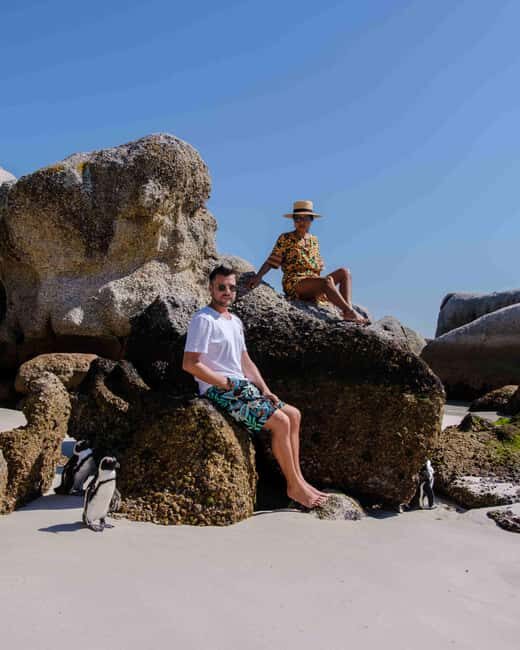 Cape Town: Boulders Beach Penguin Watching Half-Day Tour - The Practicalities: What You Need to Know