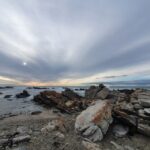 Cape Town: Cape Aghullas Van Tour with Hotel Pickup - Authentic Experiences and Guest Feedback
