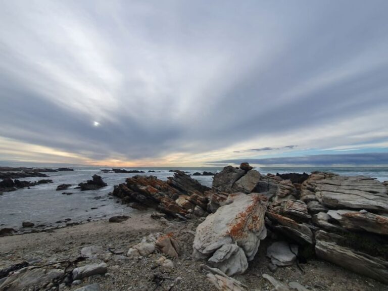 Cape Town: Cape Aghullas Van Tour with Hotel Pickup - Authentic Experiences and Guest Feedback