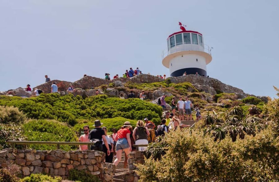 Cape Town: Cape of Good Hope & Cape Point Prebooked Ticket - Why this Tour Offers Great Value