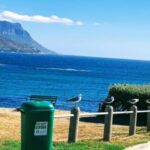 Cape Town: Cape of Good Hope & Penguins Full-Day Guided Tour - What Really Sets This Tour Apart