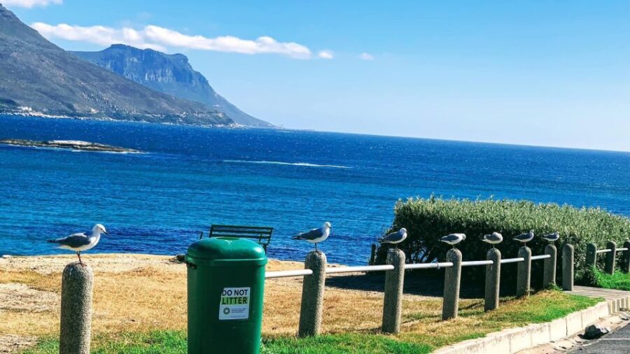 Cape Town: Cape of Good Hope & Penguins Full-Day Guided Tour - What Really Sets This Tour Apart