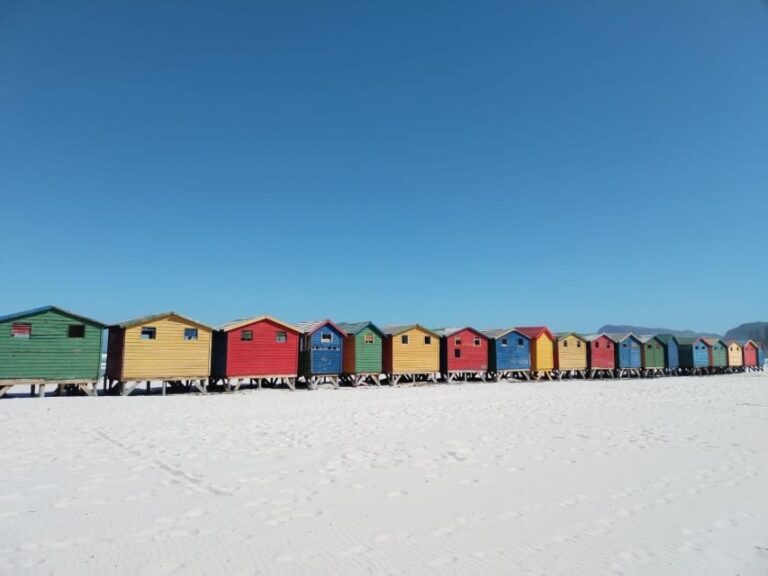 Cape Town: Cape of Good Hope, Penguins Instagram shared Tour - What to Expect and Practical Tips