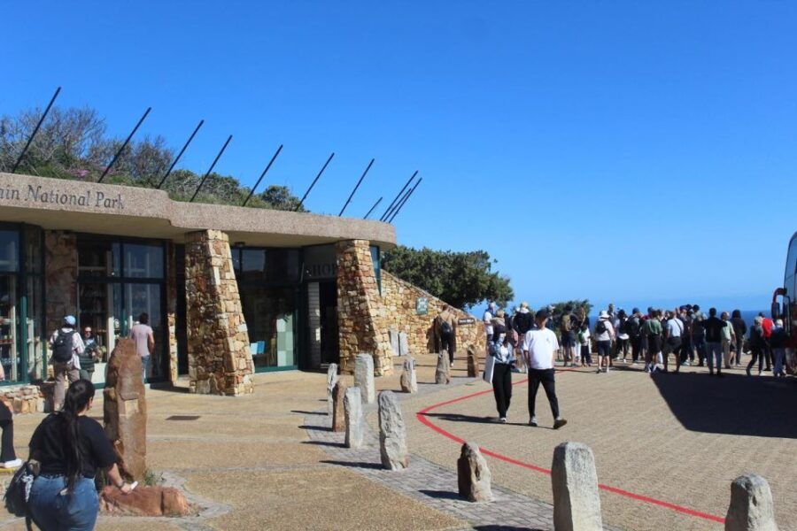 Cape Town: Cape of Good Hope & Penguins Private Scenic Tour - The Itinerary in Detail — What You Can Expect