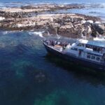 Cape Town: Cape of Good Hope, Seals and Penguins Day Tour - What To Expect on the Day