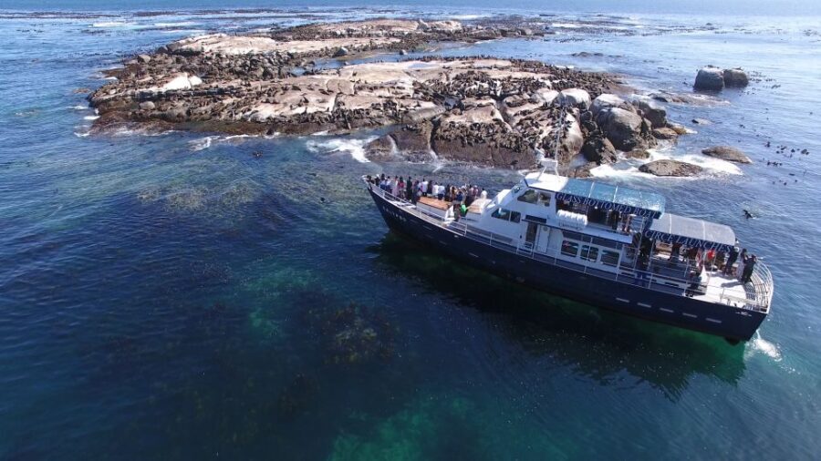 Cape Town: Cape of Good Hope, Seals and Penguins Day Tour - What To Expect on the Day