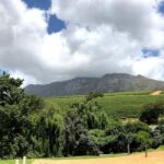Cape Town: Cape Peninsula and Wine Route Tour - Authentic Insights from Reviews