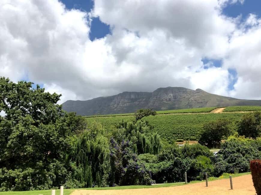 Cape Town: Cape Peninsula and Wine Route Tour - Authentic Insights from Reviews