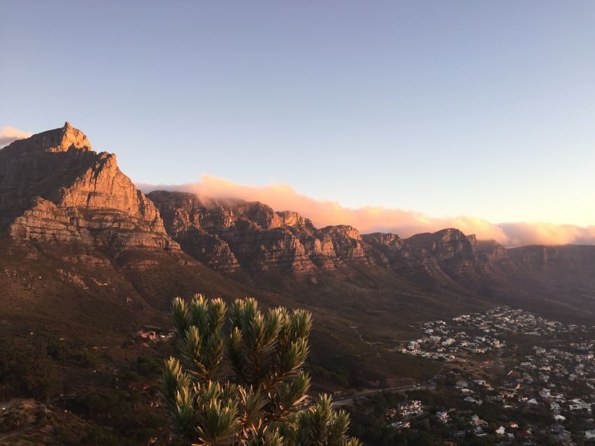 Cape Town: Cape Point and Penguin Colony Full Day Tour - Practical Considerations and Tips