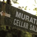 Cape Town: Cape Winelands Explore Day Tour Private Transfer - What Sets This Tour Apart: Value and Authenticity