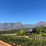 Cape Town: Cape Winelands Tour with Wine Tasting - An In-Depth Look at the Cape Winelands Tour