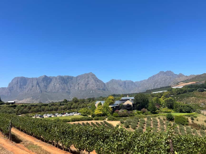 Cape Town: Cape Winelands Tour with Wine Tasting - An In-Depth Look at the Cape Winelands Tour