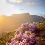 Cape Town City Highlights Tour:Robben Island, Table Mountain - Robben Island: An Emotional and Educational Experience
