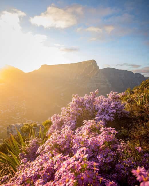 Cape Town City Highlights Tour:Robben Island, Table Mountain - Robben Island: An Emotional and Educational Experience