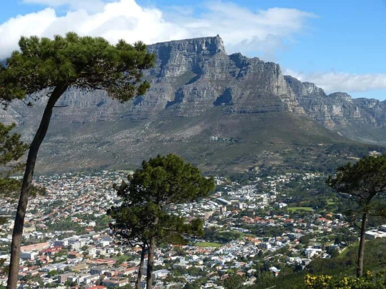 Cape Town City Small Group Day Tour - What Makes This Tour Stand Out