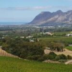 Cape Town: Constantia Prestige Private Wine Tour - Authentic Experiences and Reviewer Insights