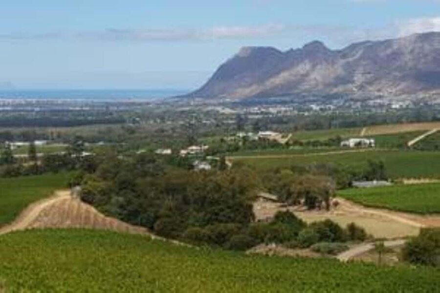 Cape Town: Constantia Prestige Private Wine Tour - Authentic Experiences and Reviewer Insights