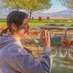 Cape Town: Constantia Wine Tour, Tastings & Scenic Transfers - Why Groot and Klein Constantia?