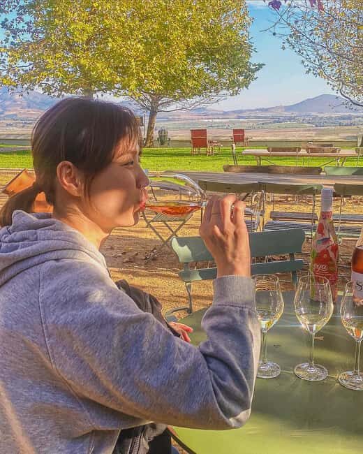 Cape Town: Constantia Wine Tour, Tastings & Scenic Transfers - Why Groot and Klein Constantia?