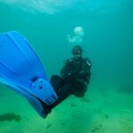 Cape Town: Discover Scuba Diving - 1 day experience - An In-Depth Look at the Experience