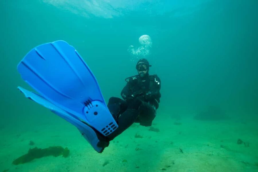 Cape Town: Discover Scuba Diving - 1 day experience - An In-Depth Look at the Experience