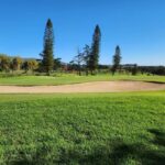Cape Town: Experience Golf, Wine Tour with VIP Wine Tasting - VIP Wine and Estate Visits