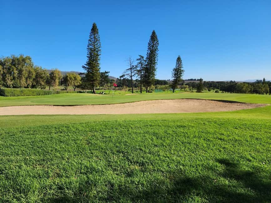 Cape Town: Experience Golf, Wine Tour with VIP Wine Tasting - VIP Wine and Estate Visits