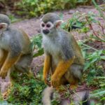 Cape Town for Children: Family Tour - Analyzing the Value of the Tour