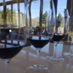 Cape Town: Franschhoek Private Wine Tour - Discovering Franschhoek: A Charmingly Historic Wine Region